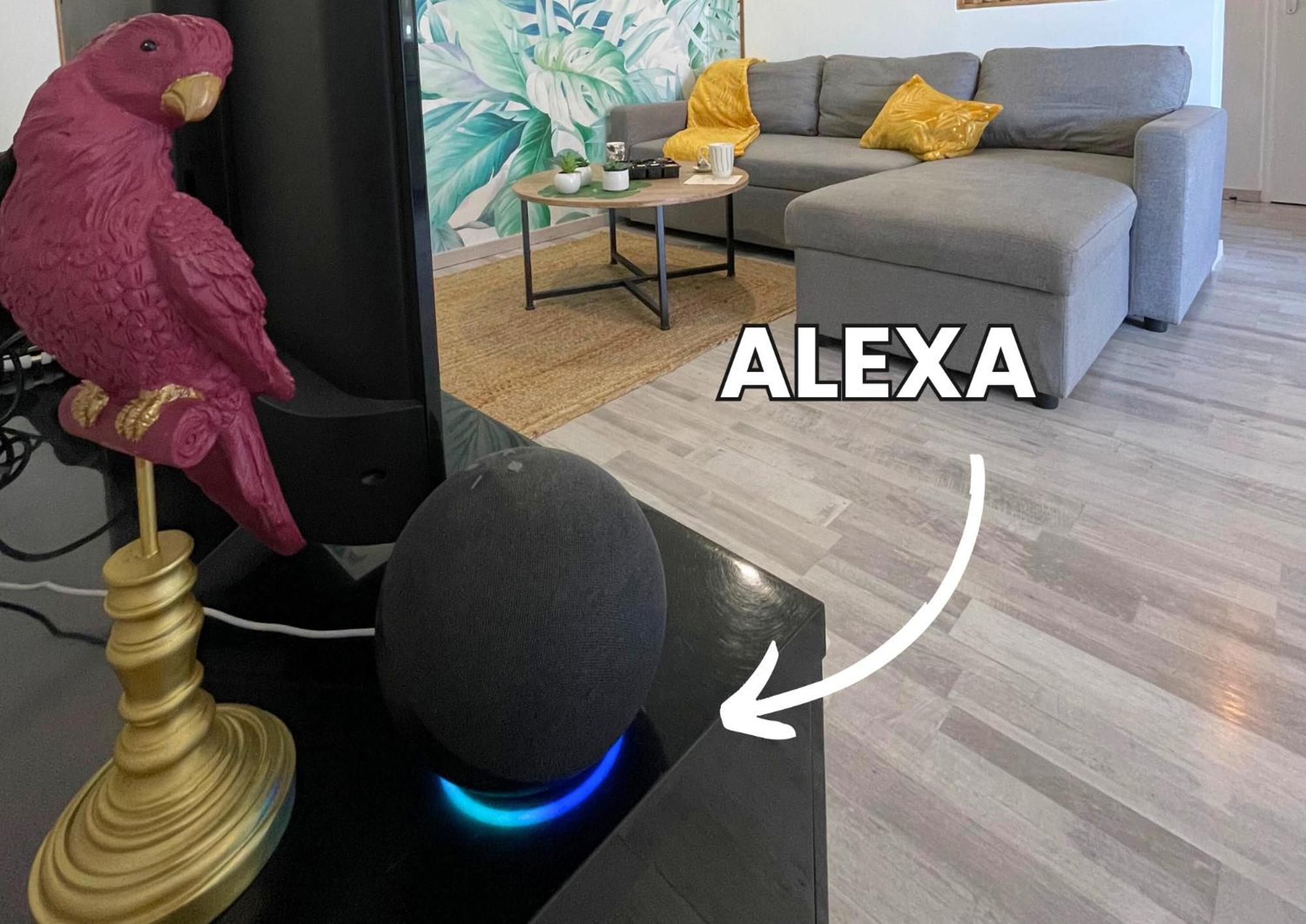 Le Jungle - Parking Et Wifi Gratuit - Balcon - Alexa Apartamento Saint-Alban  Exterior foto